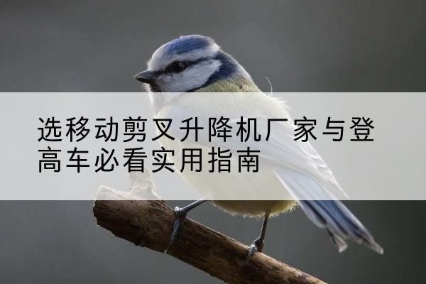 三江电动升降机厂家-选移动剪叉升降机厂家与登高车必看实用指南