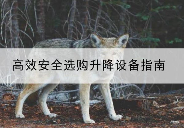 三江升降货梯厂家推荐-*安全选购升降设备指南